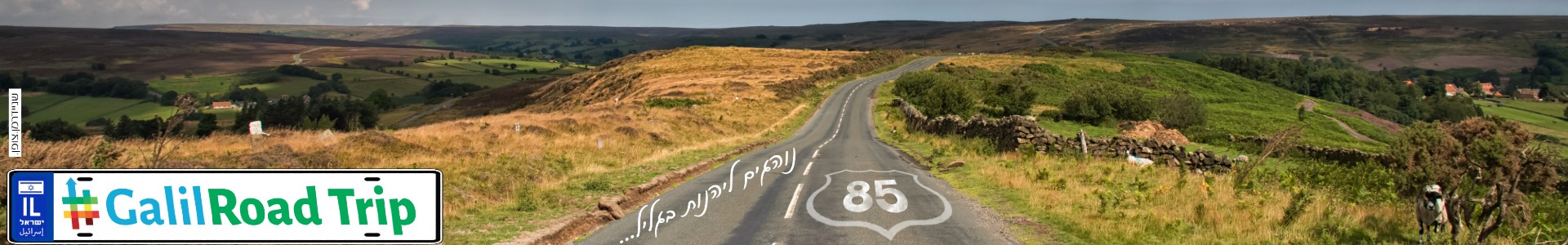  85
