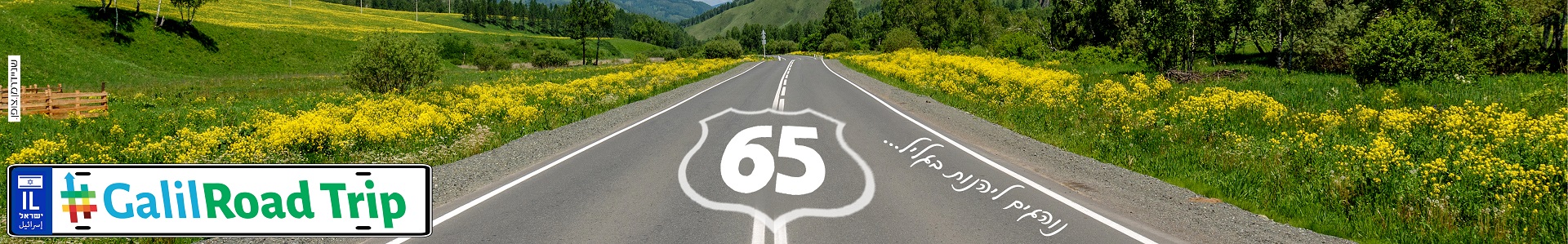  65