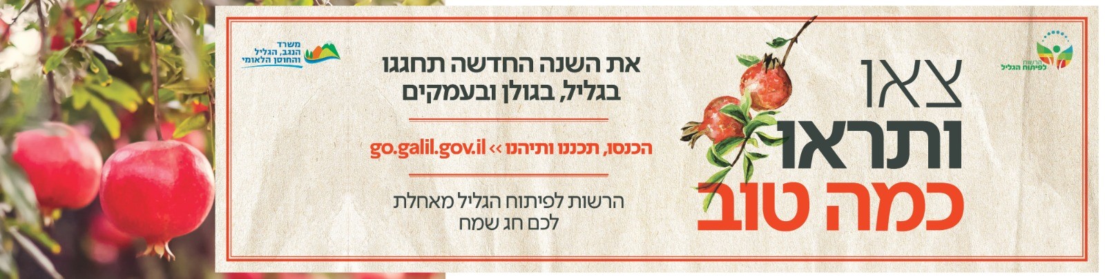 GoGalil